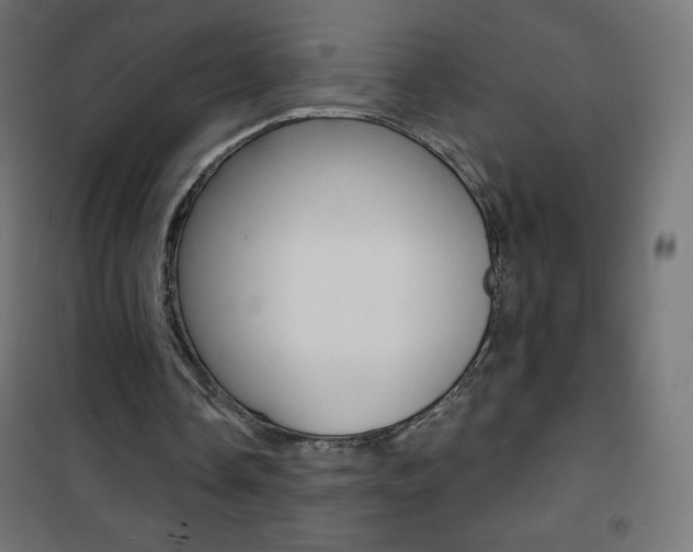 X0000101470338200807071224