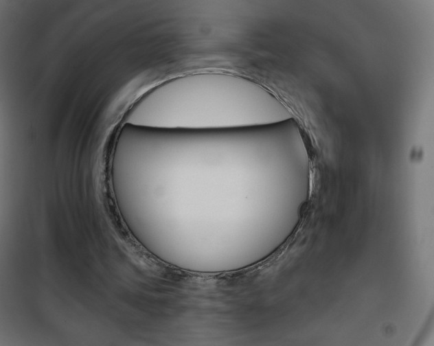 X0000101470339200807071224