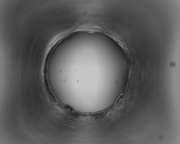 X0000101470340200807071224