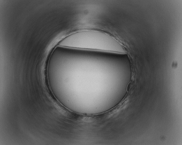 X0000101470341200807071224