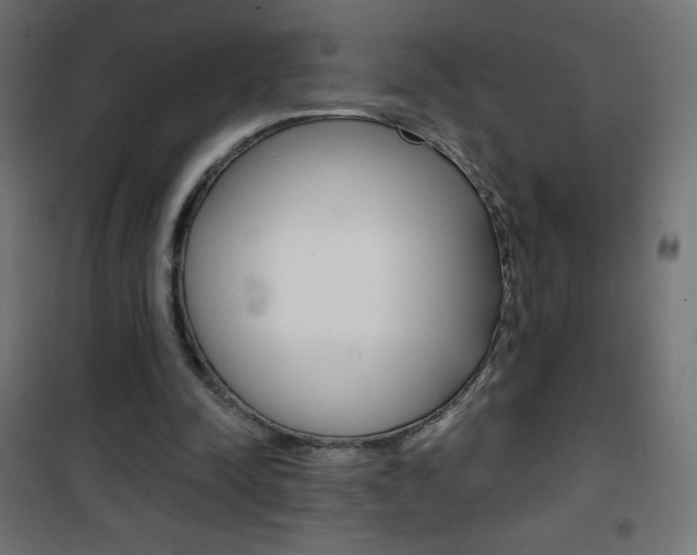X0000101470342200807071224
