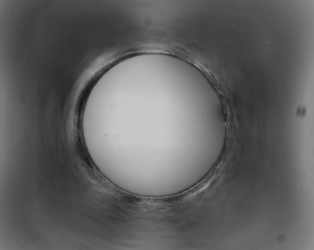 X0000101470343200807071224