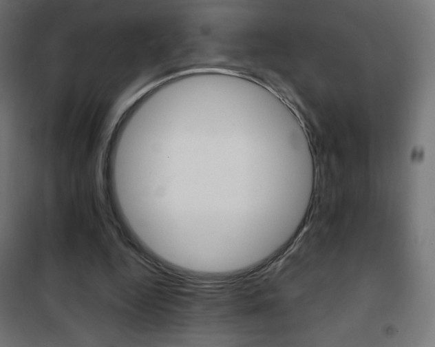 X0000101470344200807071224