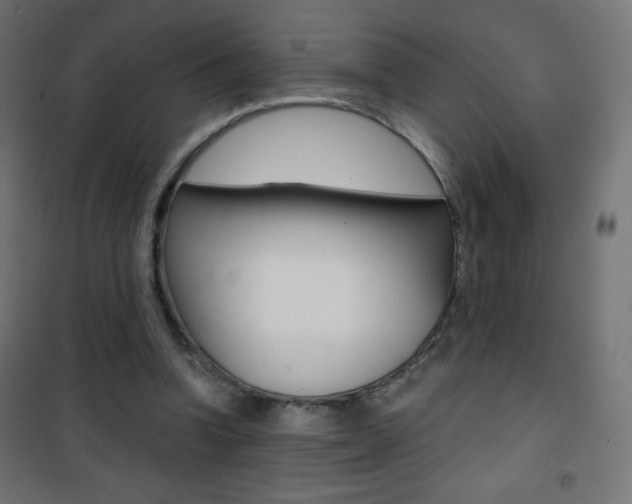 X0000101470346200807071224