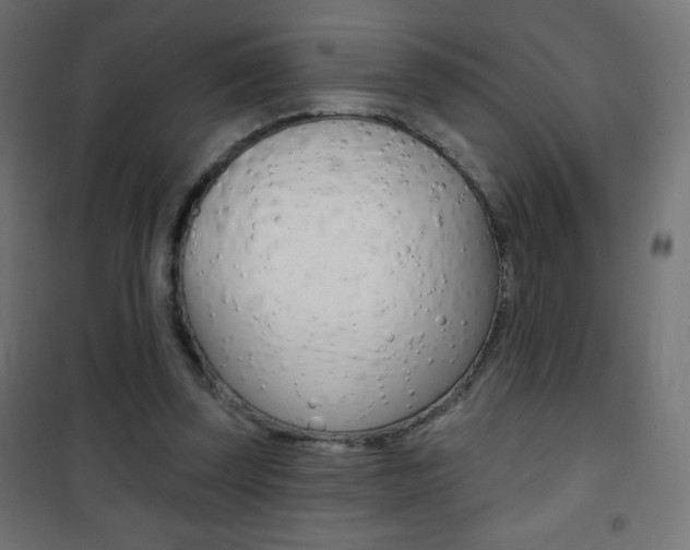 X0000101470347200807071224