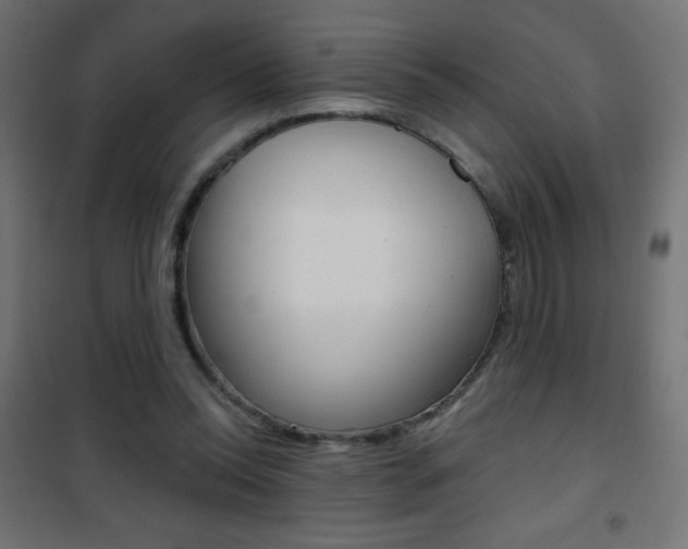 X0000101470350200807071224