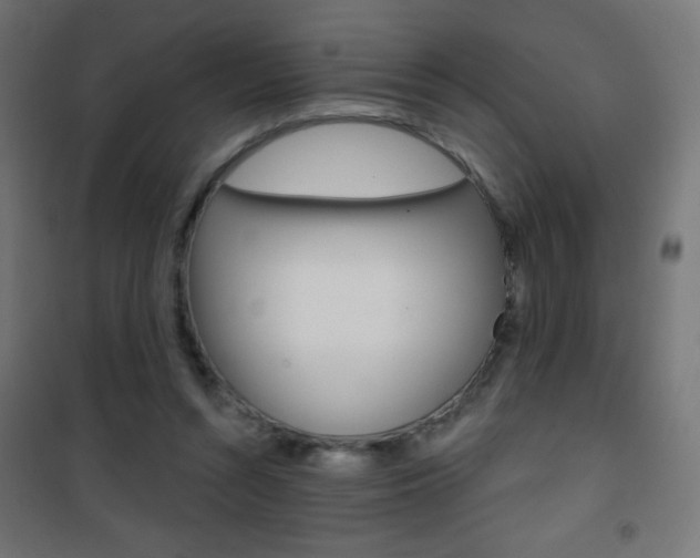 X0000101470352200807071224