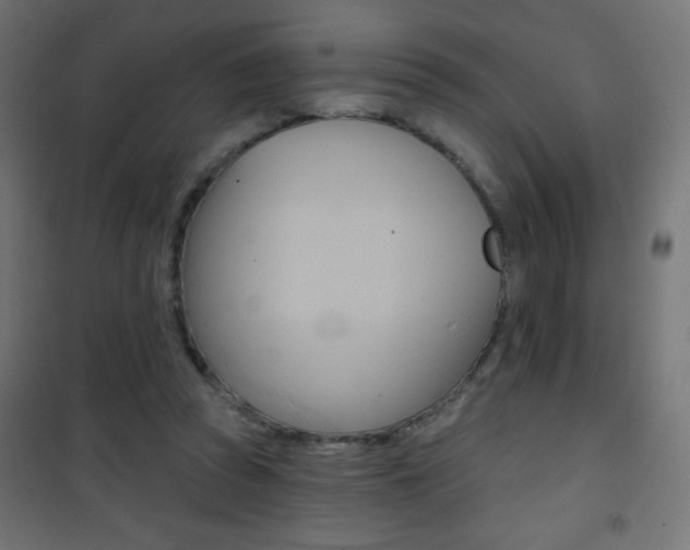 X0000101470353200807071224