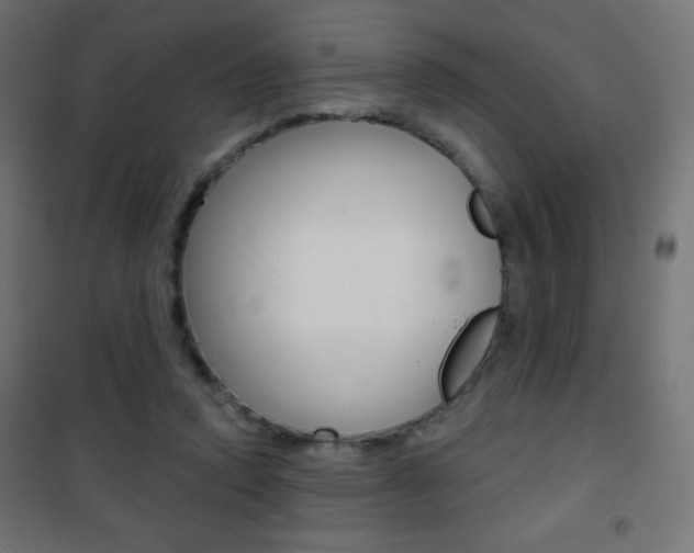 X0000101470354200807071224