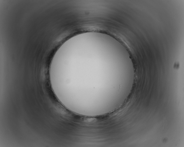 X0000101470355200807071224