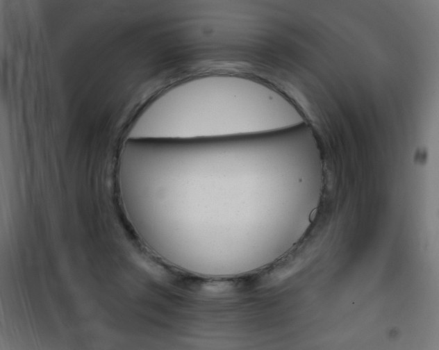 X0000101470357200807071224