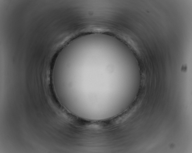X0000101470358200807071224
