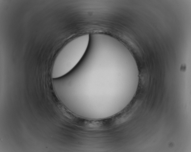 X0000101470359200807071224