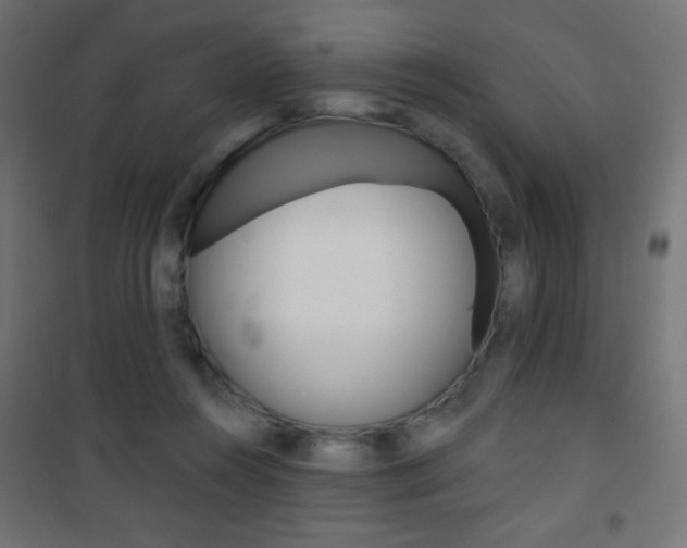X0000101470360200807071224