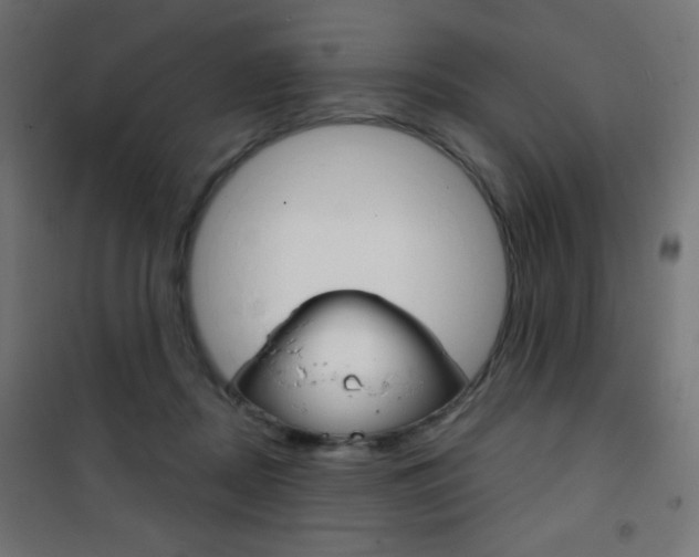 X0000101470362200807071224