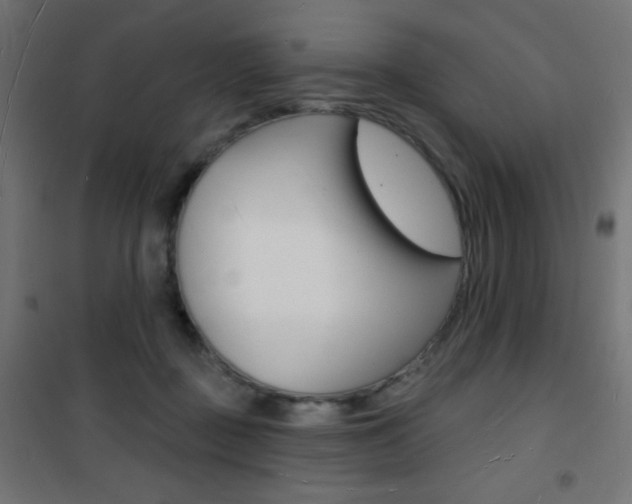 X0000101470363200807071224