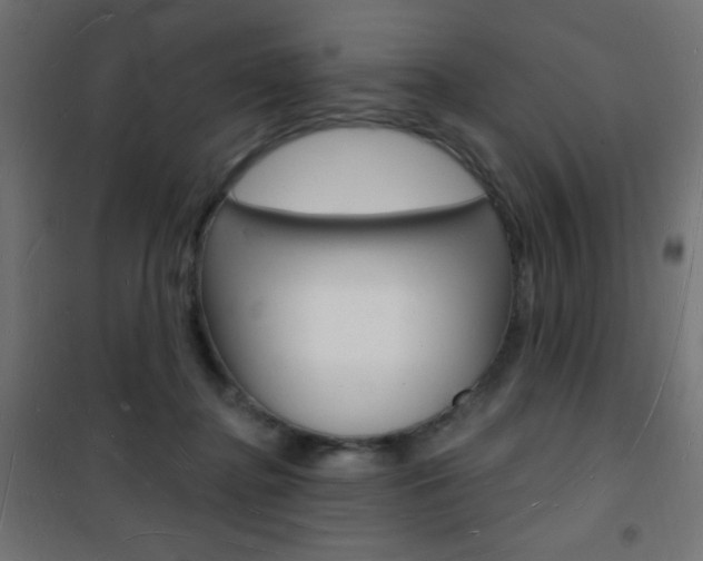 X0000101470364200807071224