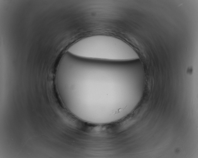 X0000101470366200807071224