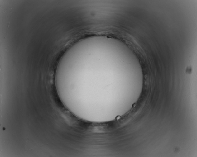 X0000101470368200807071224