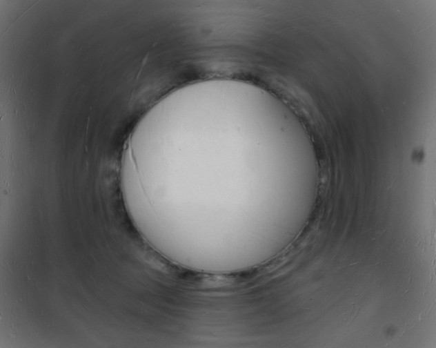 X0000101470369200807071224