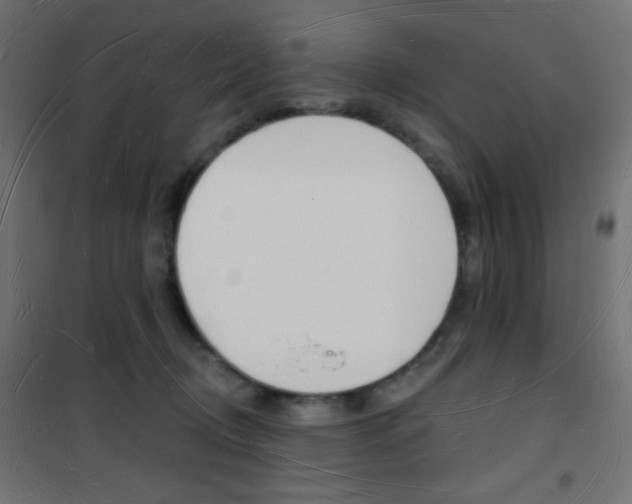 X0000101470370200807071224
