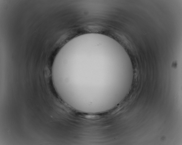 X0000101470371200807071224