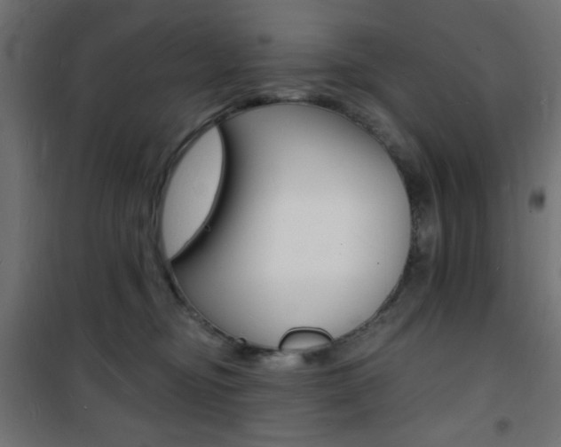 X0000101470374200807071224