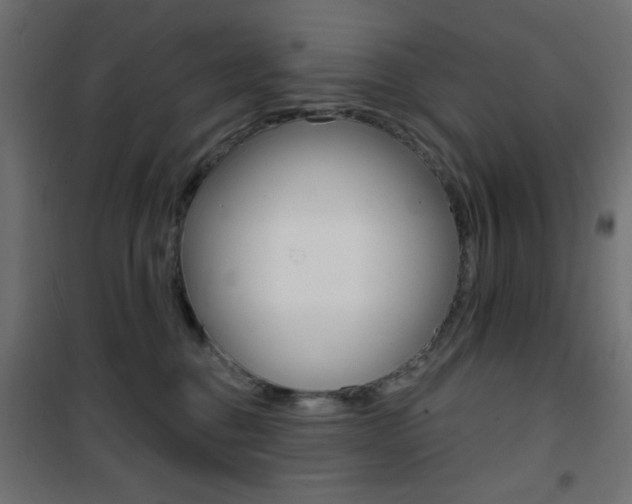 X0000101470376200807071224