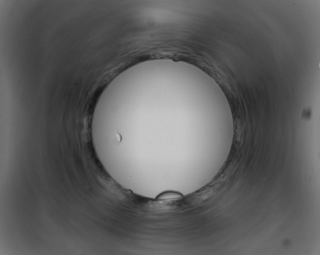 X0000101470378200807071225