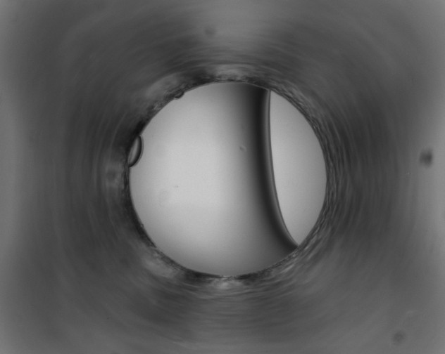 X0000101470379200807071225