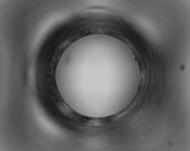 X0000101470381200807071225