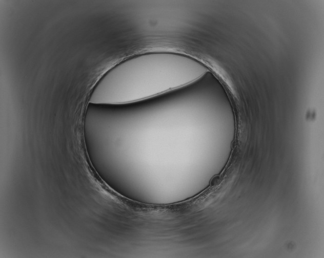 X0000101470385200807071224
