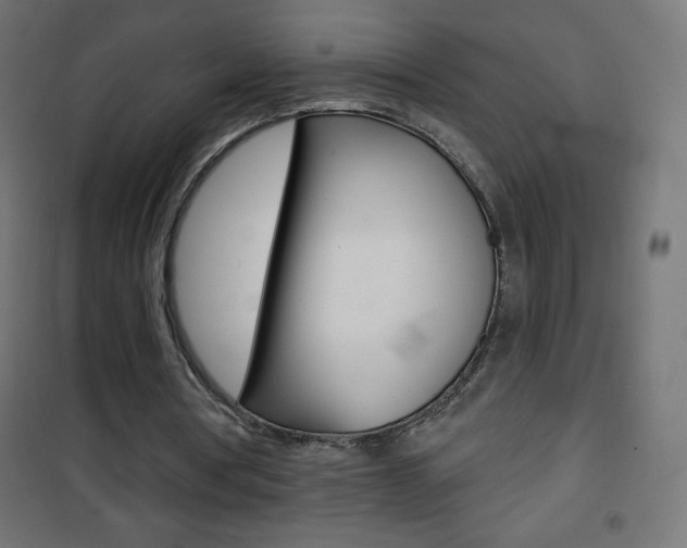X0000101470386200807071224