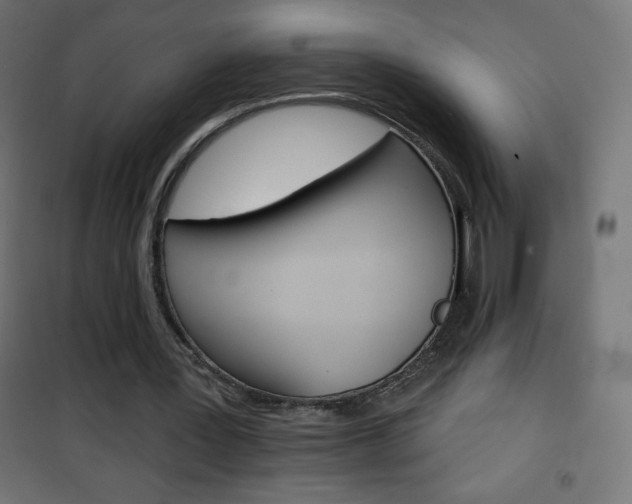 X0000101470387200807071224