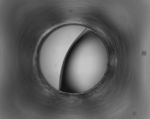 X0000101470388200807071224