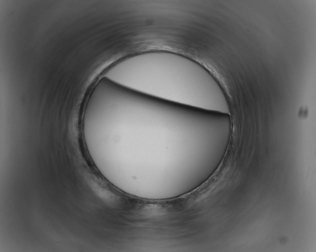 X0000101470390200807071224