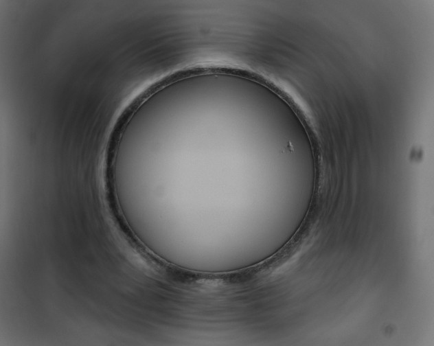 X0000101470391200807071224