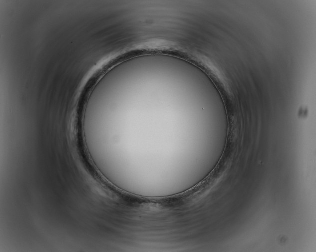 X0000101470392200807071224