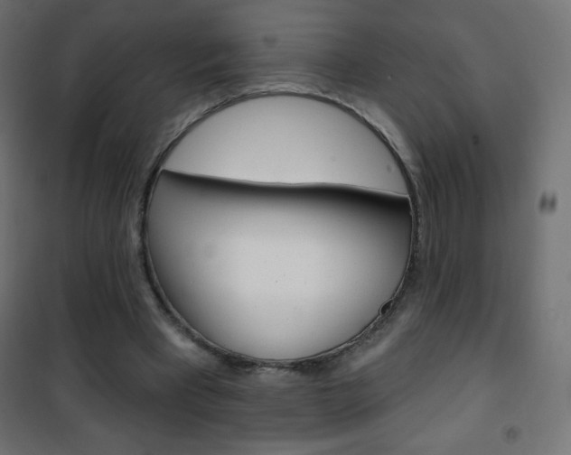 X0000101470393200807071224