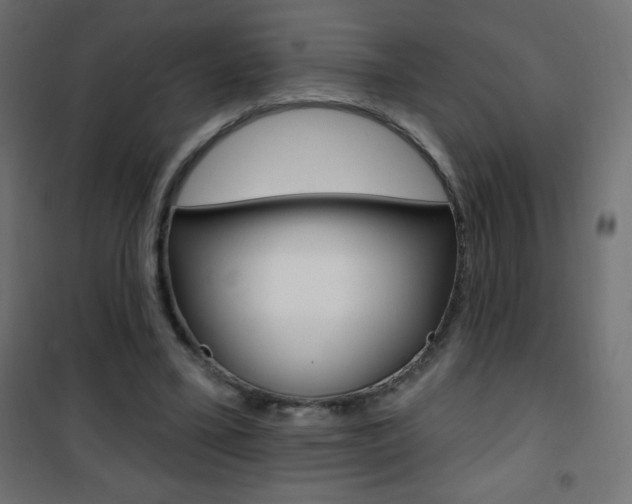 X0000101470395200807071224