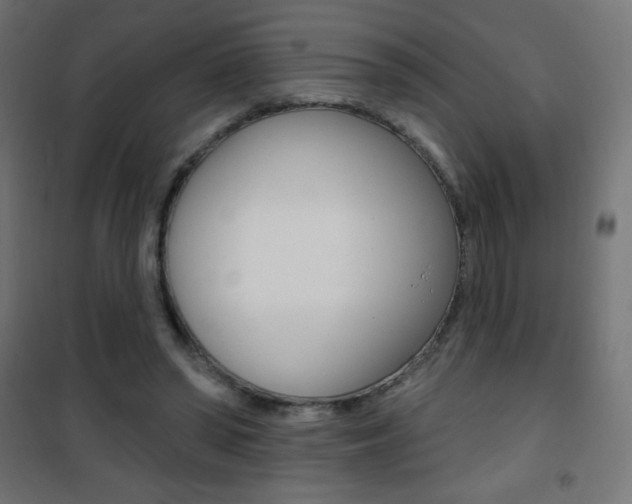 X0000101470398200807071224