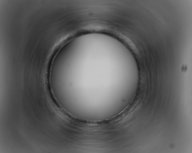 X0000101470399200807071224