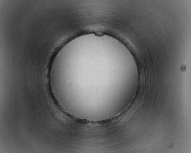X0000101470403200807071224