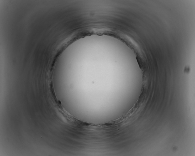X0000101470405200807071223