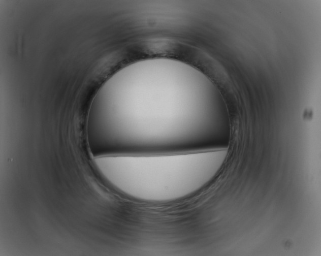 X0000101470408200807071223