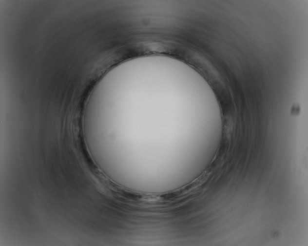 X0000101470410200807071223