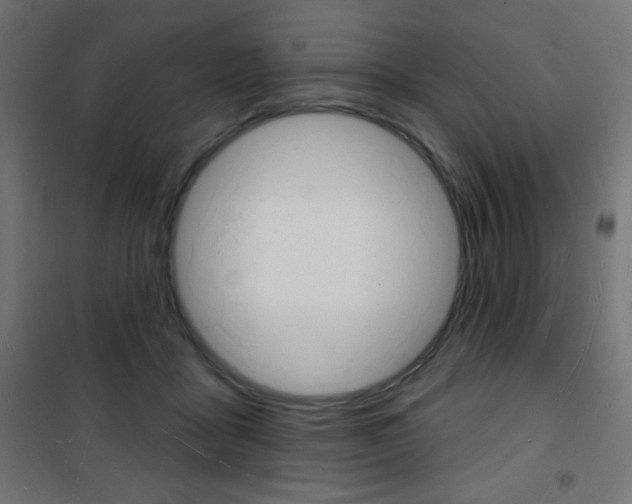 X0000101470411200807071223