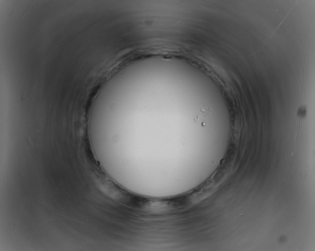 X0000101470413200807071223