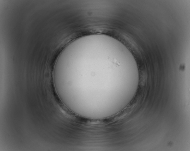 X0000101470414200807071223