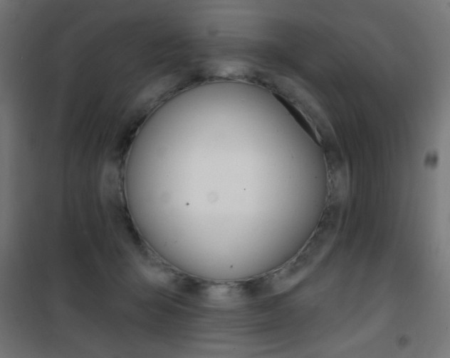 X0000101470415200807071223